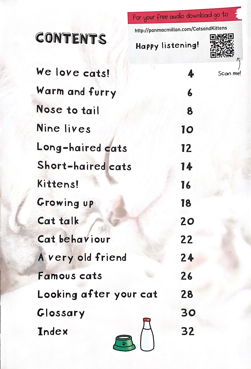 It's All About... Cats and Kittens