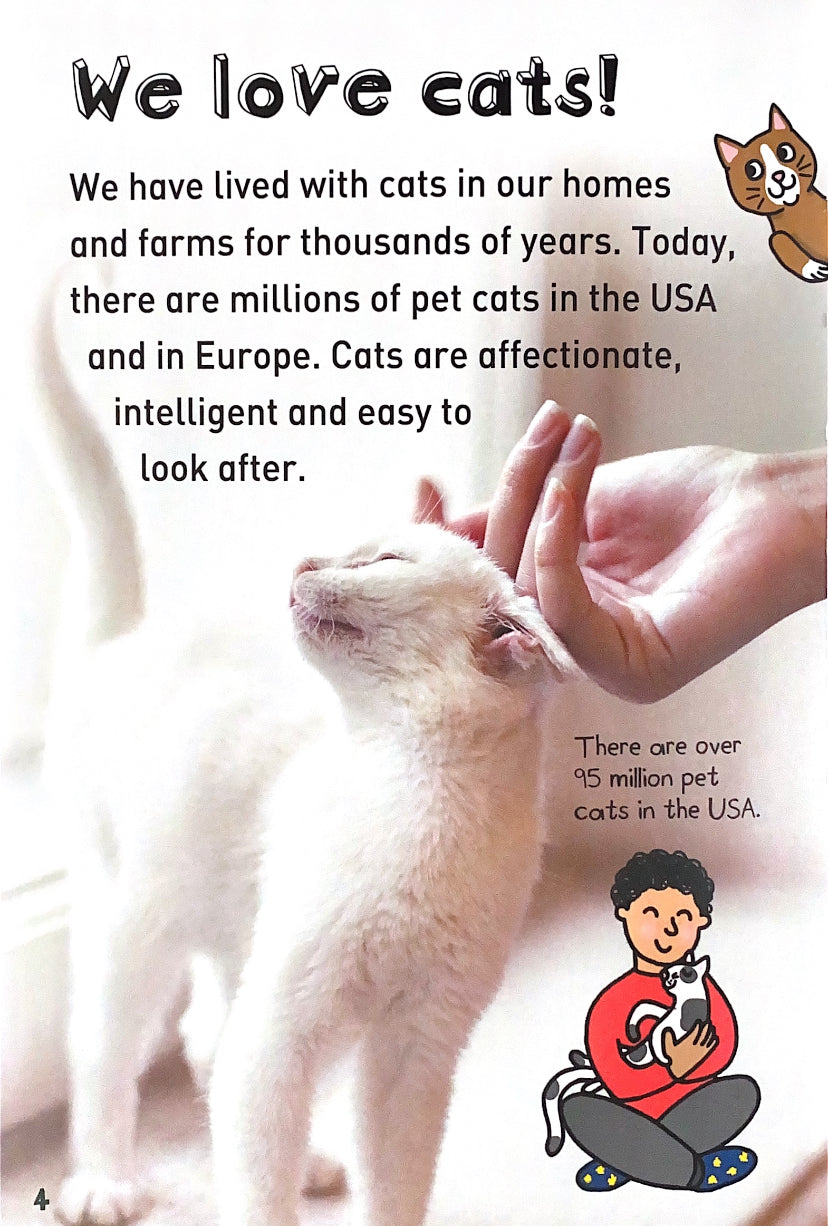 It's All About... Cats and Kittens