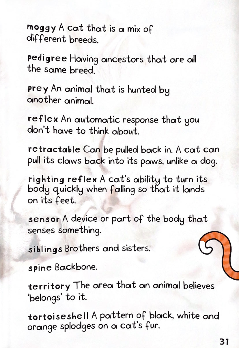 It's All About... Cats and Kittens