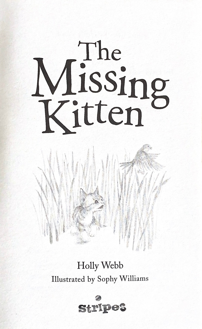 The Missing Kitten