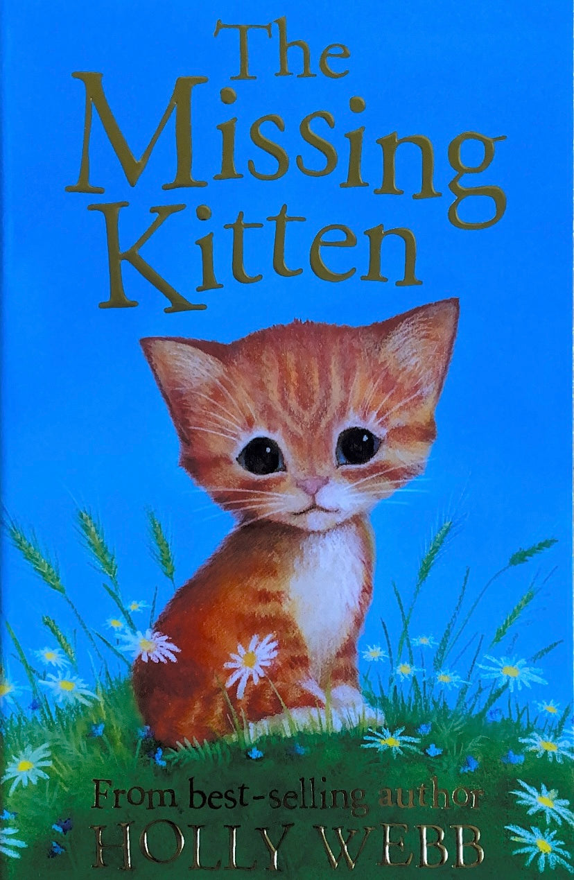 The Missing Kitten