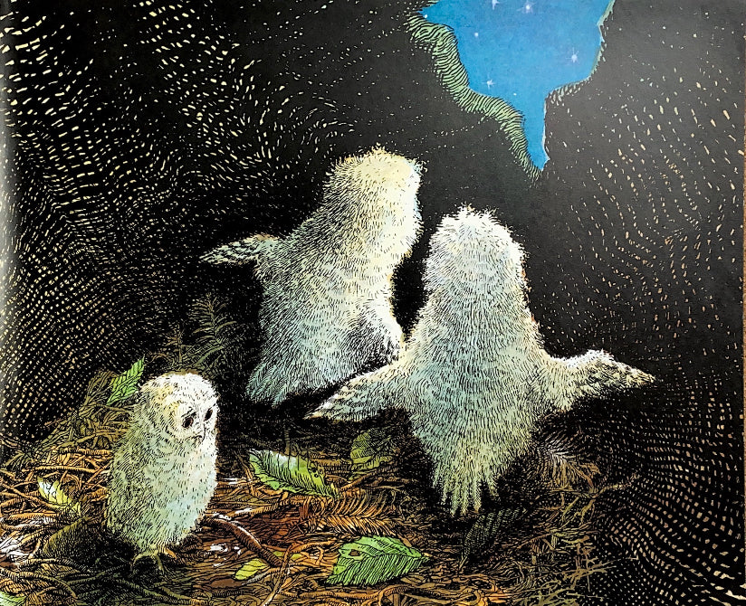 Owl Babies