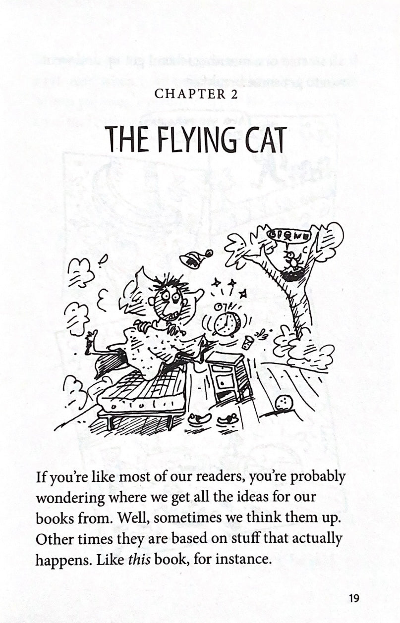 The 13-Storey Treehouse