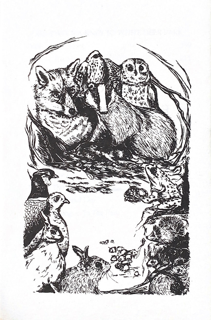 The Animals of Farthing Wood