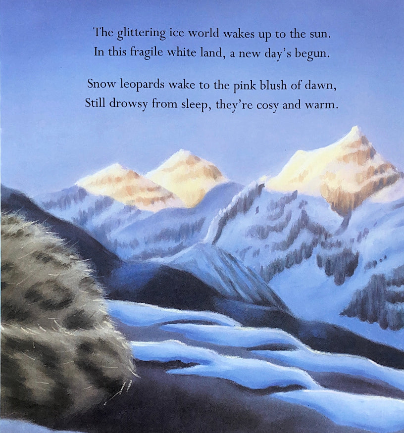 Where Snowflakes Fall