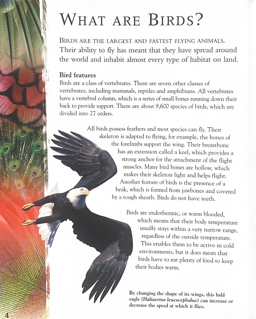 Classifying Animals Birds