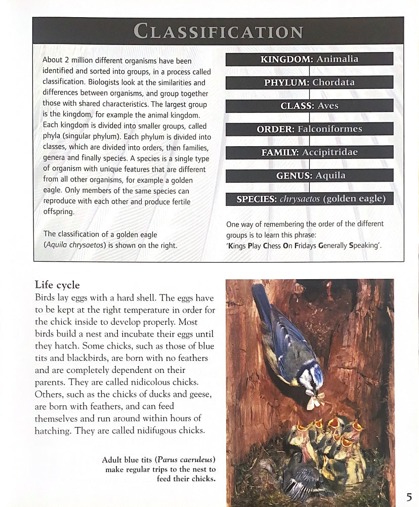 Classifying Animals Birds