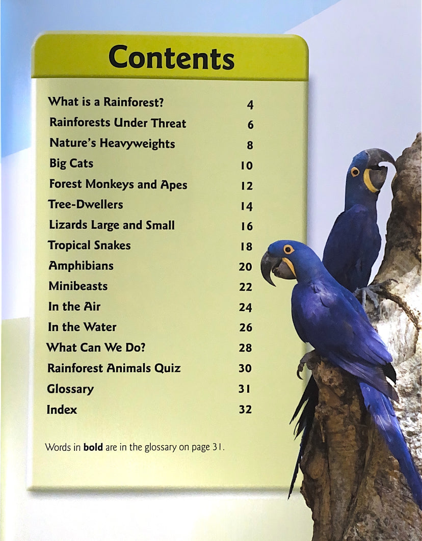 Saving Wildlife - Rainforest Animals