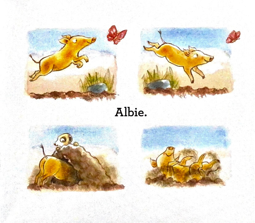 Bedtime for Albie – Harmony Children's Books