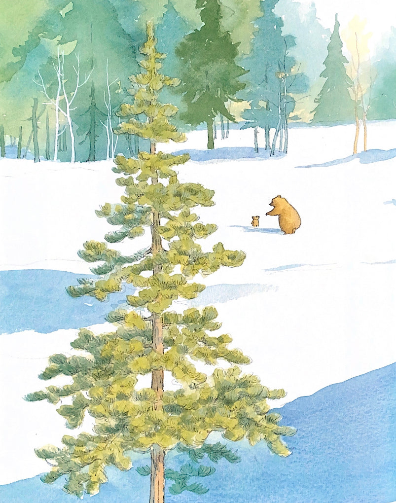 Can't You Sleep Little Bear?