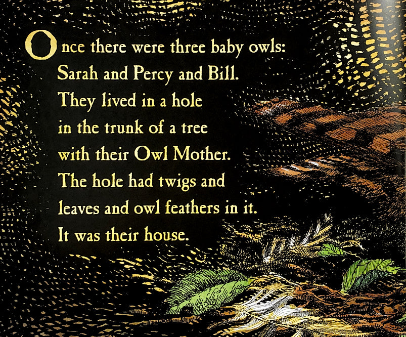 Owl Babies