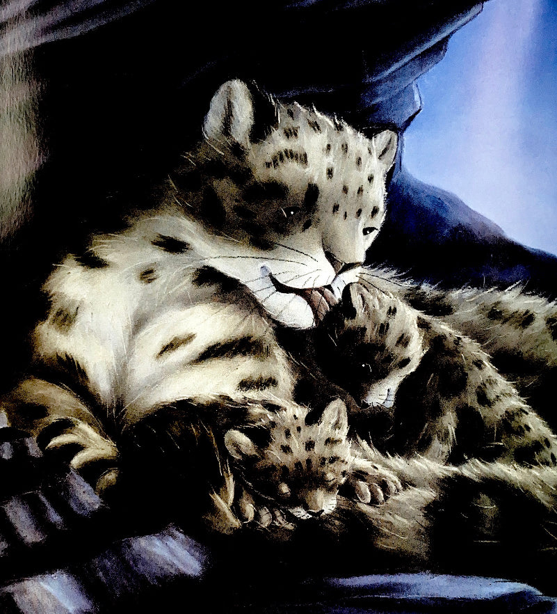 Where Snowflakes Fall